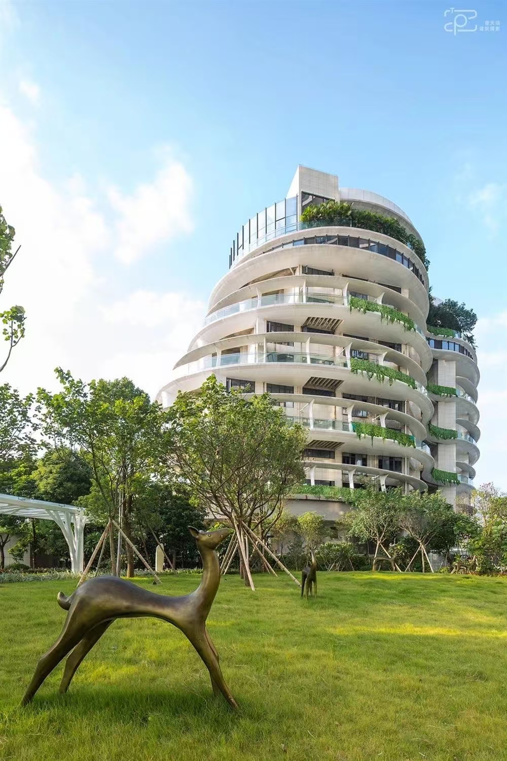 1746524316643052.jpg e418329e8c38e0b6a2257642786f20a.jpg