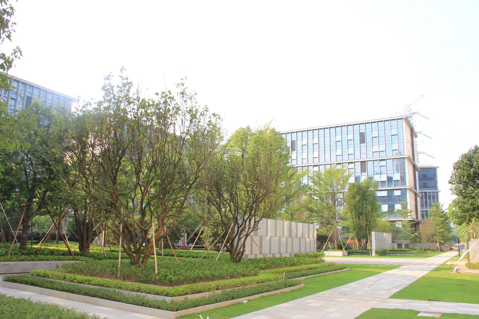 1749610936935492.jpg 85e4fae2f571c278a8c53f29ceedb464.jpg