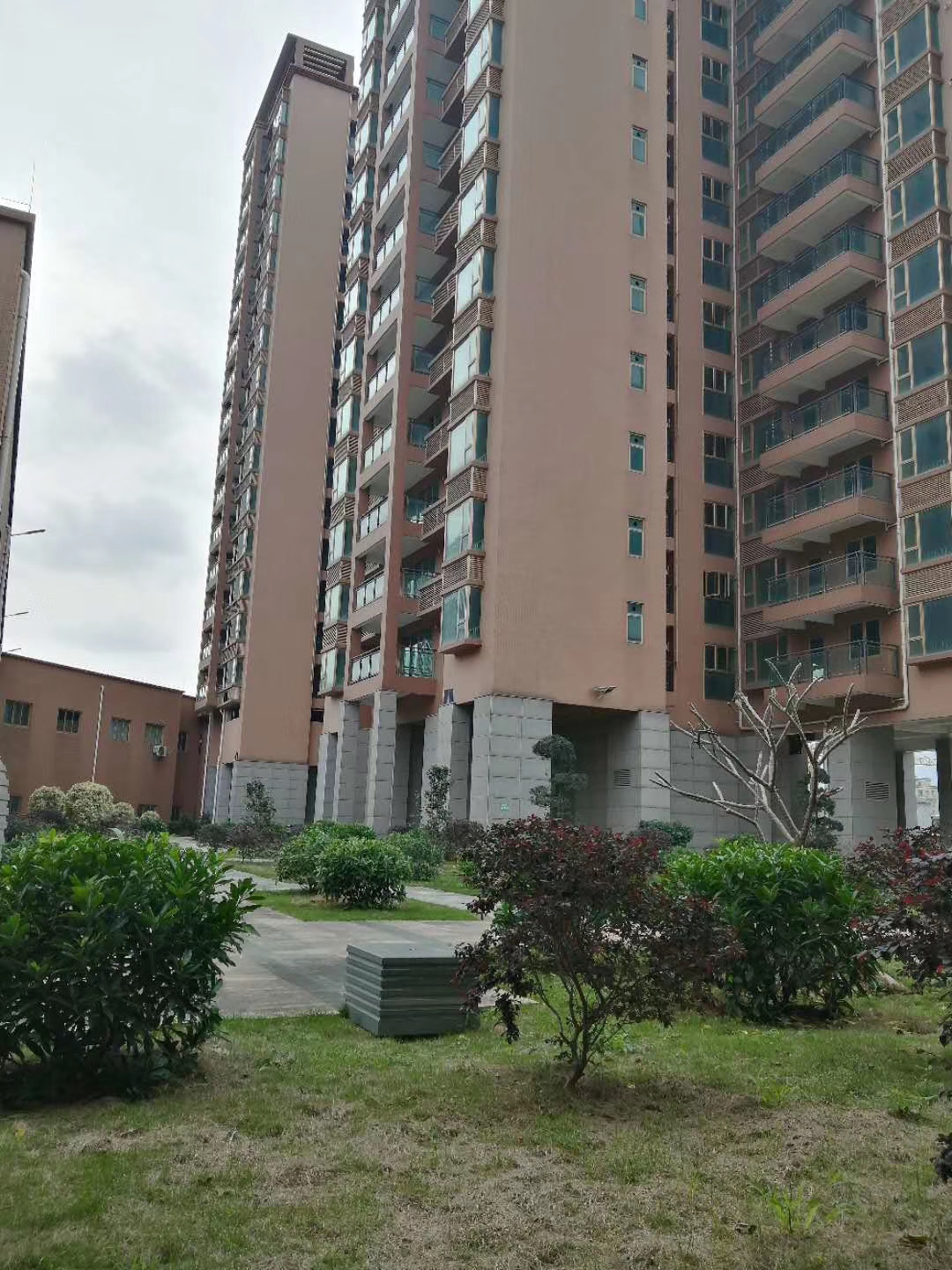 坪山村委統建樓