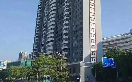 坂田大富豪花園 天虹旁大型村委統建樓新盤