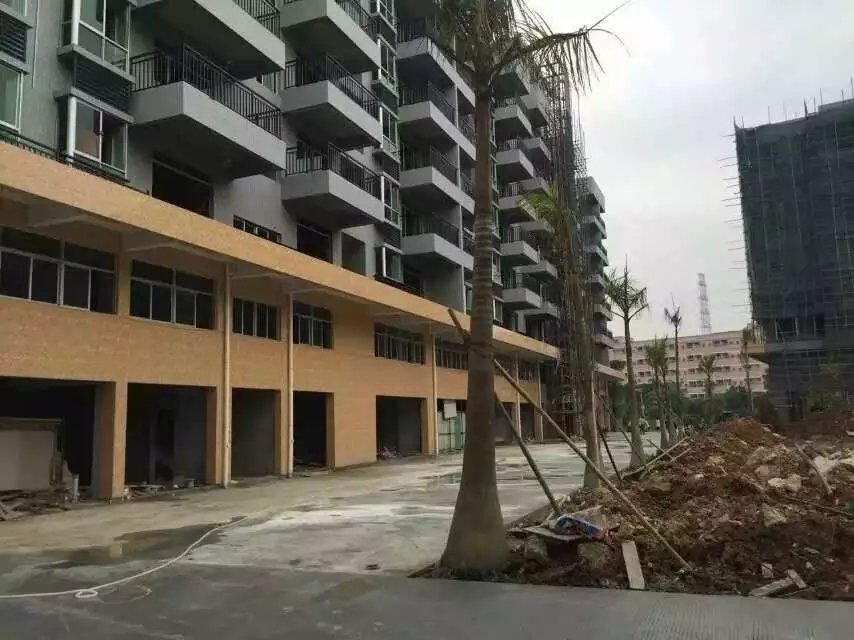 沙井老街片區也是小產權房集中的區域