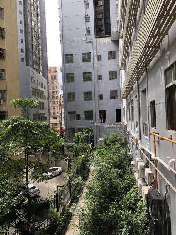 再到小產權落戶