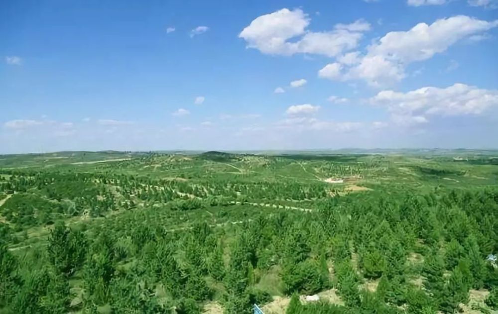 時(shí)任浙江省委書記的習(xí)近平同志來(lái)到余村