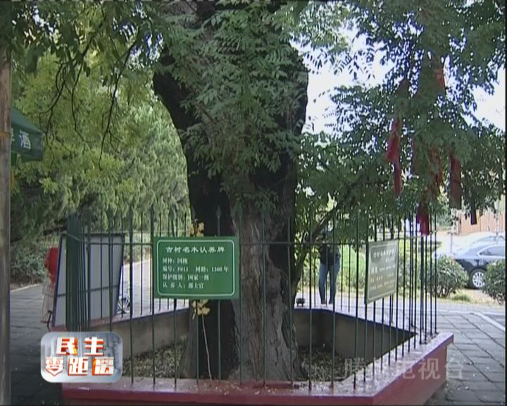 中新村舊改項(xiàng)目范圍內(nèi)